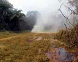 Gas Leak Pollutes Bayelsa Community