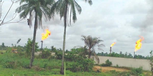 The Nigeria Gas Industry and Processual Transparency: A Health Risk Perspective.